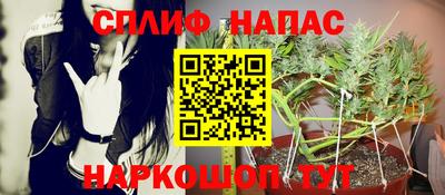 ГАЛЛЮЦИНОГЕННЫЕ ГРИБЫ Дубна