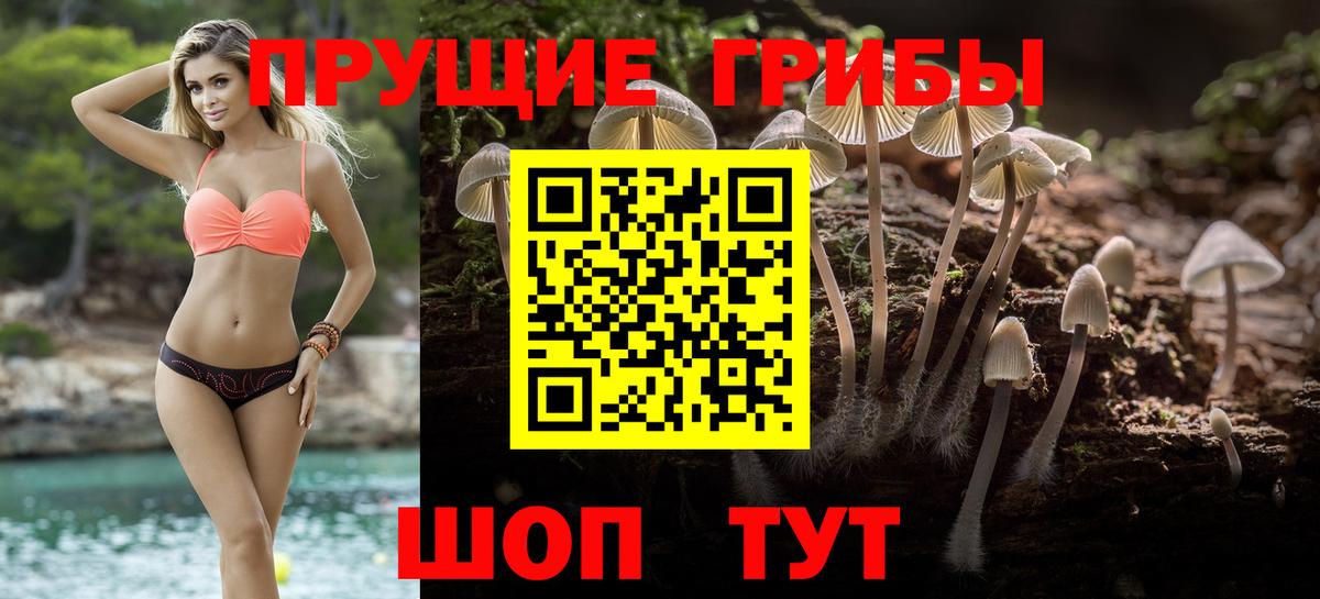 магазин продажи   Вход с VPN  Мыски  Псилоцибиновые грибы Magic Shrooms 